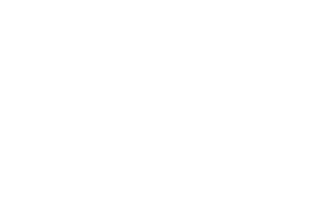 Angies List